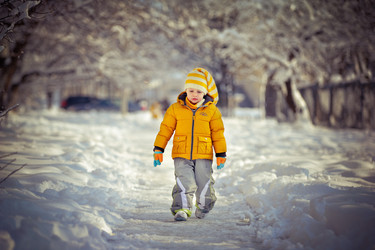 Similar image 3726480