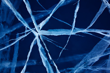 Similar image 3728837