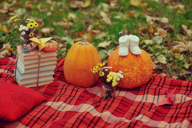 Similar image 3751552