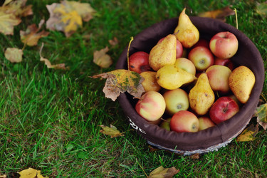 Similar image 3751557