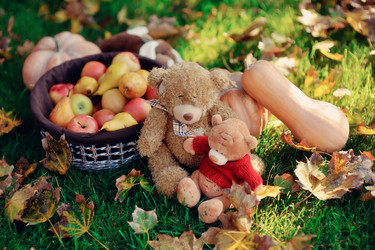 Similar image 3751563