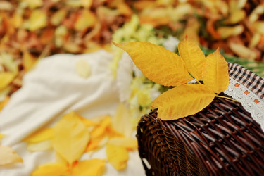 Similar image 3752161