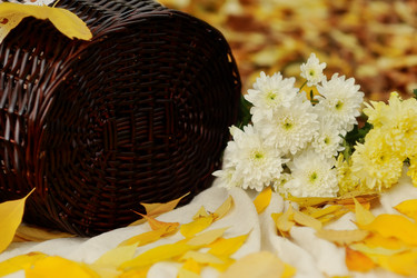 Similar image 3752171