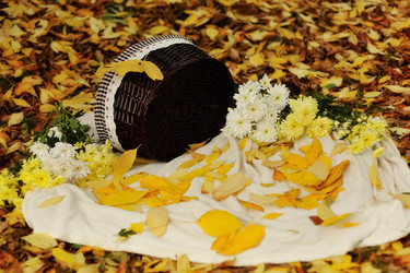 Similar image 3752195