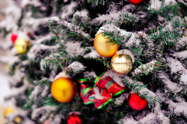 Similar image 3765342