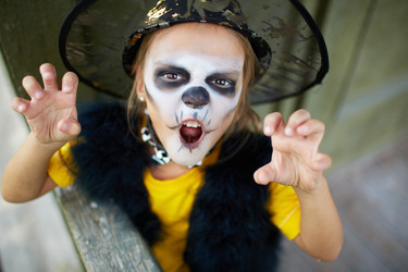 Similar image 3796685