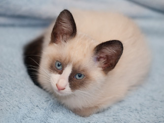 Similar image 3798856