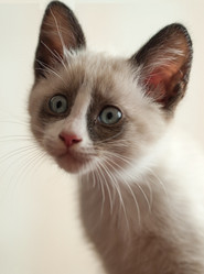 Similar image 3798868