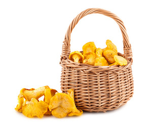 Similar image 3799081