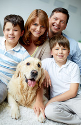 Similar image 3799957