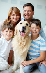 Similar image 3799970