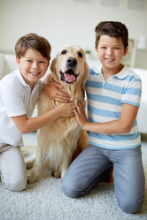 Similar image 3800200