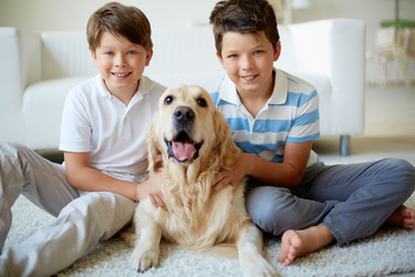 Similar image 3800211