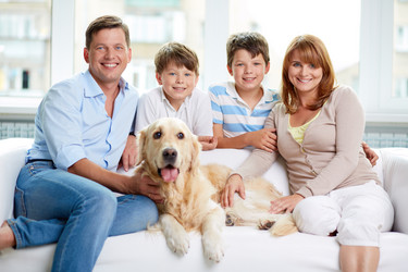 Similar image 3800292