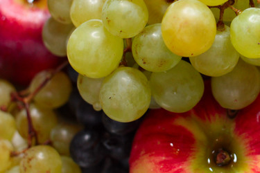 Similar image 3818020