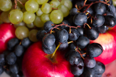 Similar image 3818080