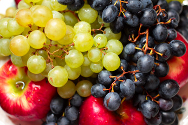 Similar image 3818522