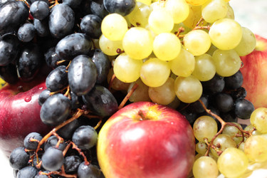 Similar image 3818567