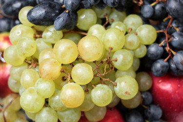 Similar image 3818597