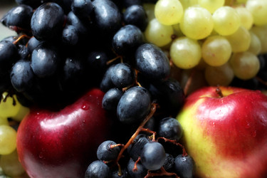 Similar image 3818606