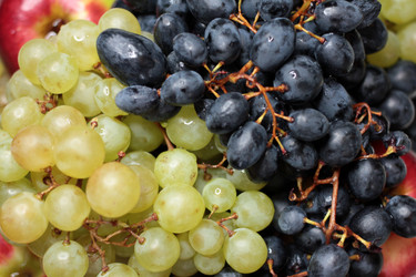 Similar image 3818635