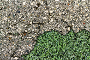 Similar image 3818652