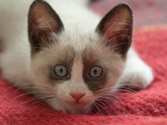 Similar image 4011604