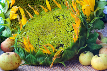 Similar image 4013891