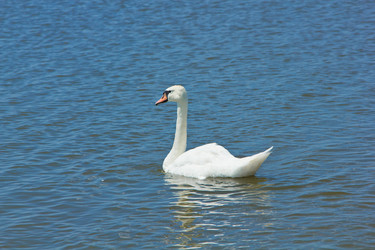 Similar image 4022459