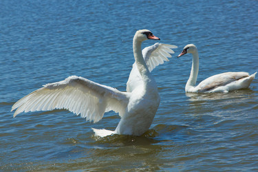 Similar image 4022460