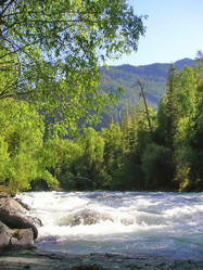 Similar image 4029214