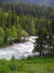 Similar image 4029240