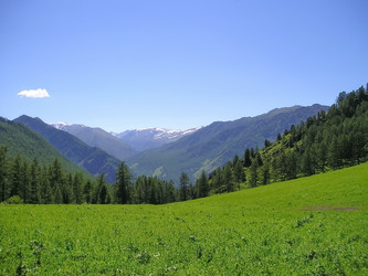 Similar image 4029249