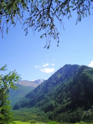 Similar image 4029262