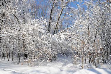 Similar image 4032701