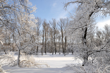 Similar image 4032705