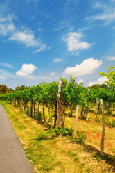 Similar image 4032706