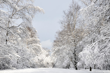 Similar image 4032708