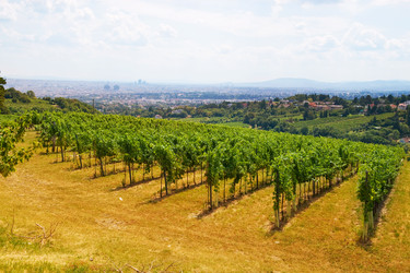 Similar image 4032713