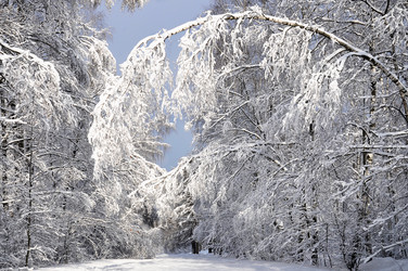 Similar image 4032719