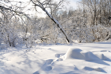 Similar image 4032721