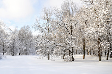 Similar image 4032733