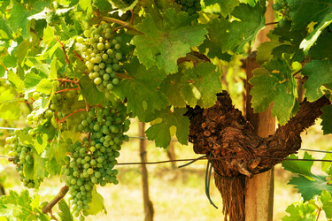 Similar image 4032842