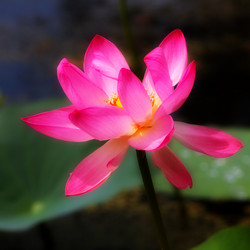 Similar image 4037555