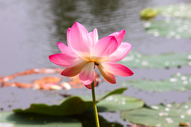 Similar image 4037669