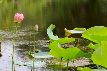 Similar image 4037689