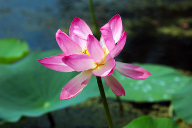 Similar image 4037764