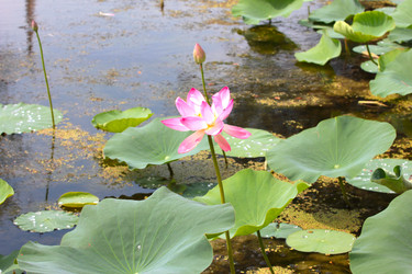 Similar image 4037844