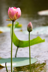 Similar image 4037925