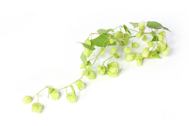 Similar image 4039885